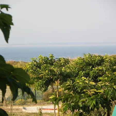 Au Petit Bonheur La Tranche-sur-Mer