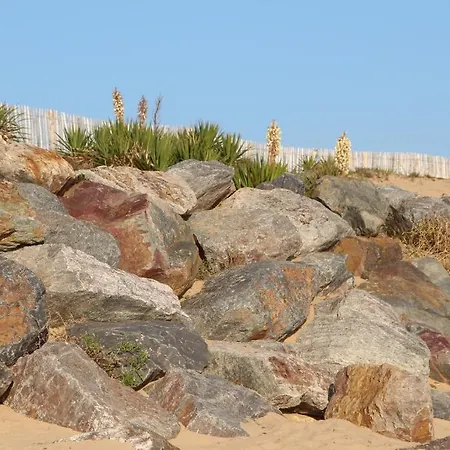 Au Petit Bonheur Hotel