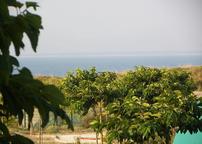 Au Petit Bonheur La Tranche-sur-Mer
