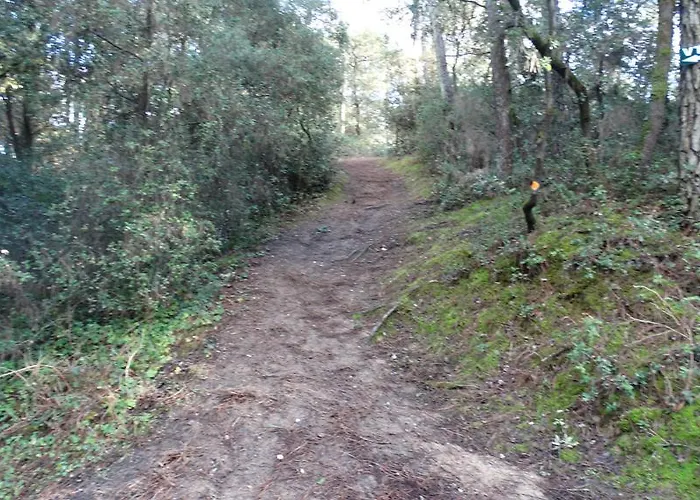 Au Petit Bonheur Hotel 2*