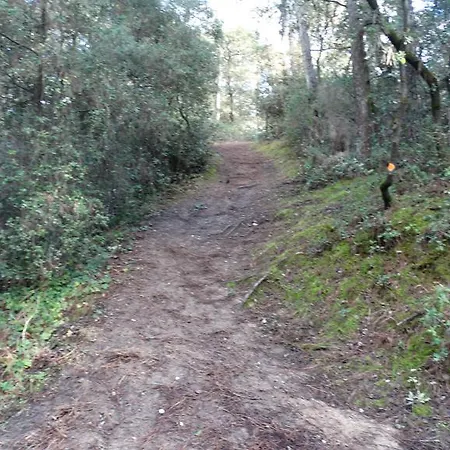 Au Petit Bonheur ホテル 2*