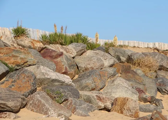 Au Petit Bonheur Hotel